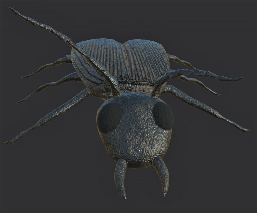 Beetle (Game ready) preview image 3